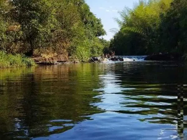 PROPIEDAD EN VENTA DE 41 HA EN PDTE FRANCO