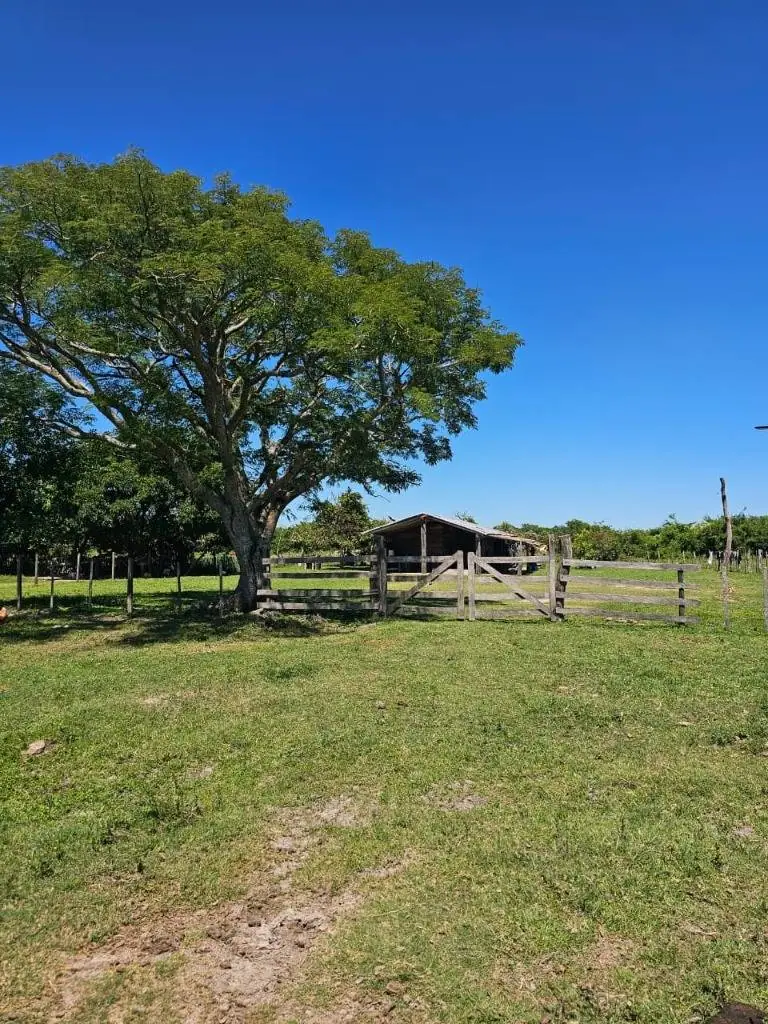 VENTA - Estancia Tacuaras 3.757 ha agrícola y ganadera - Pilar, Ñeembucú