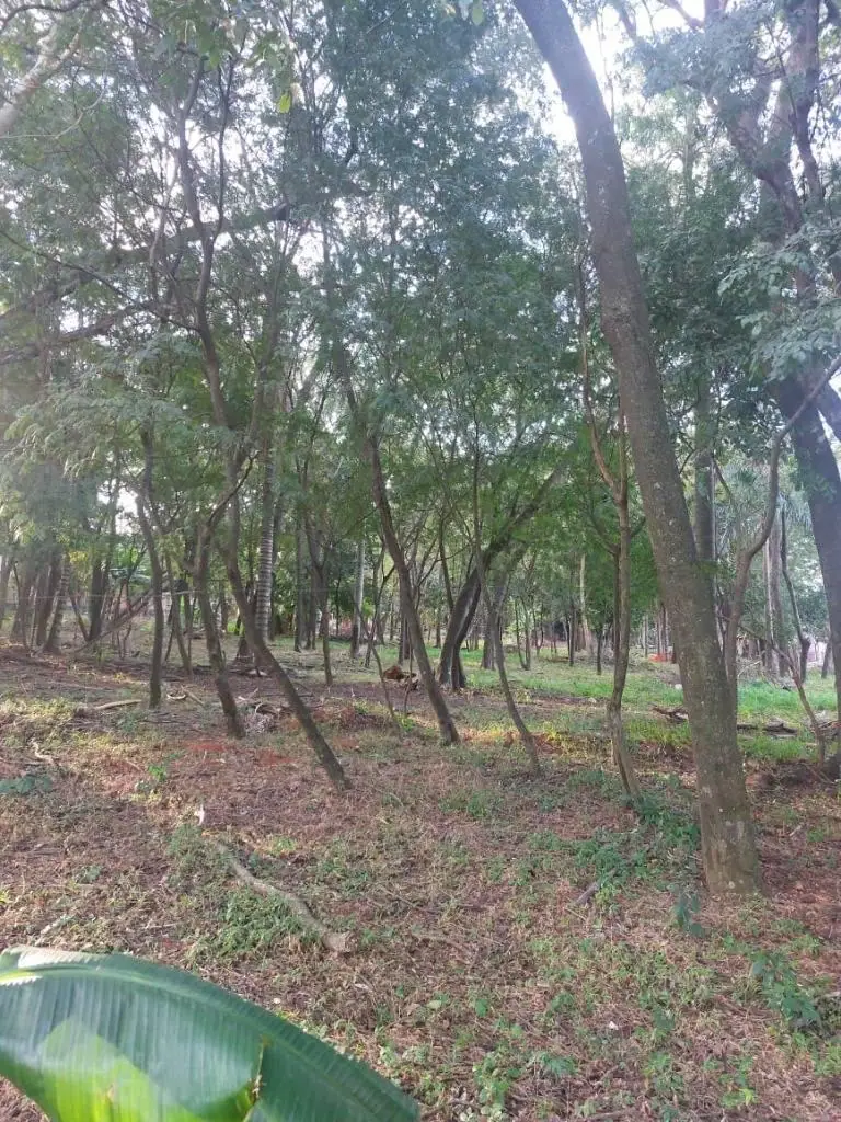 VENDO TERRENO EN ÑEMBY