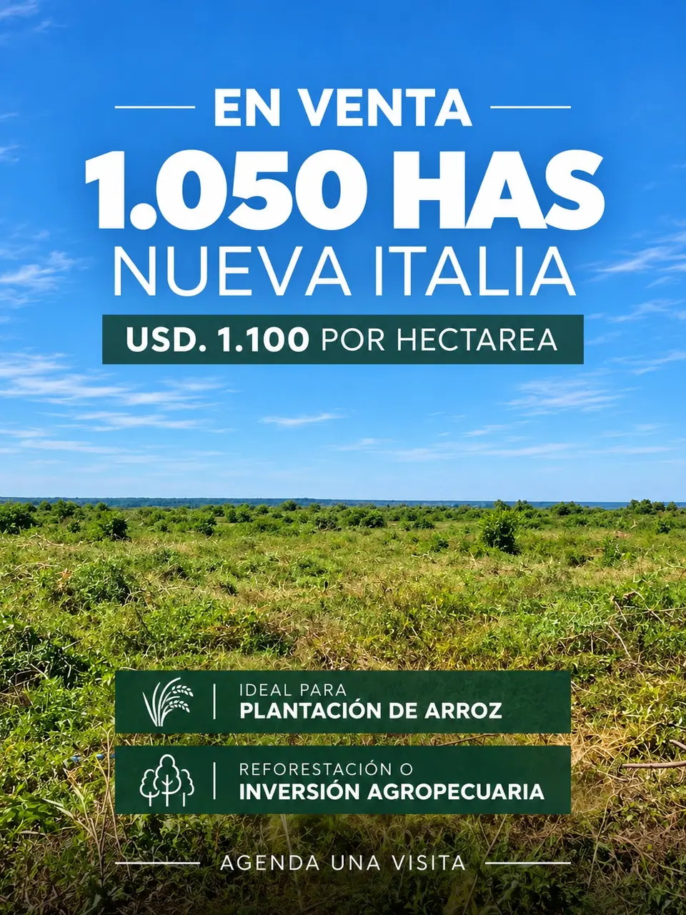 Campo En Venta Nueva Italia – Departamento Central
