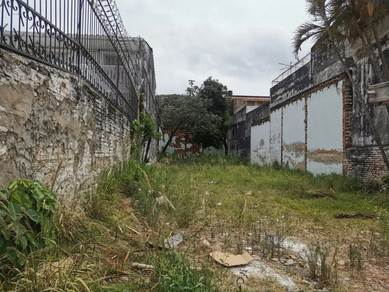 TERRENO SOBRE AVDA ARTIGAS CASI BRASILIA