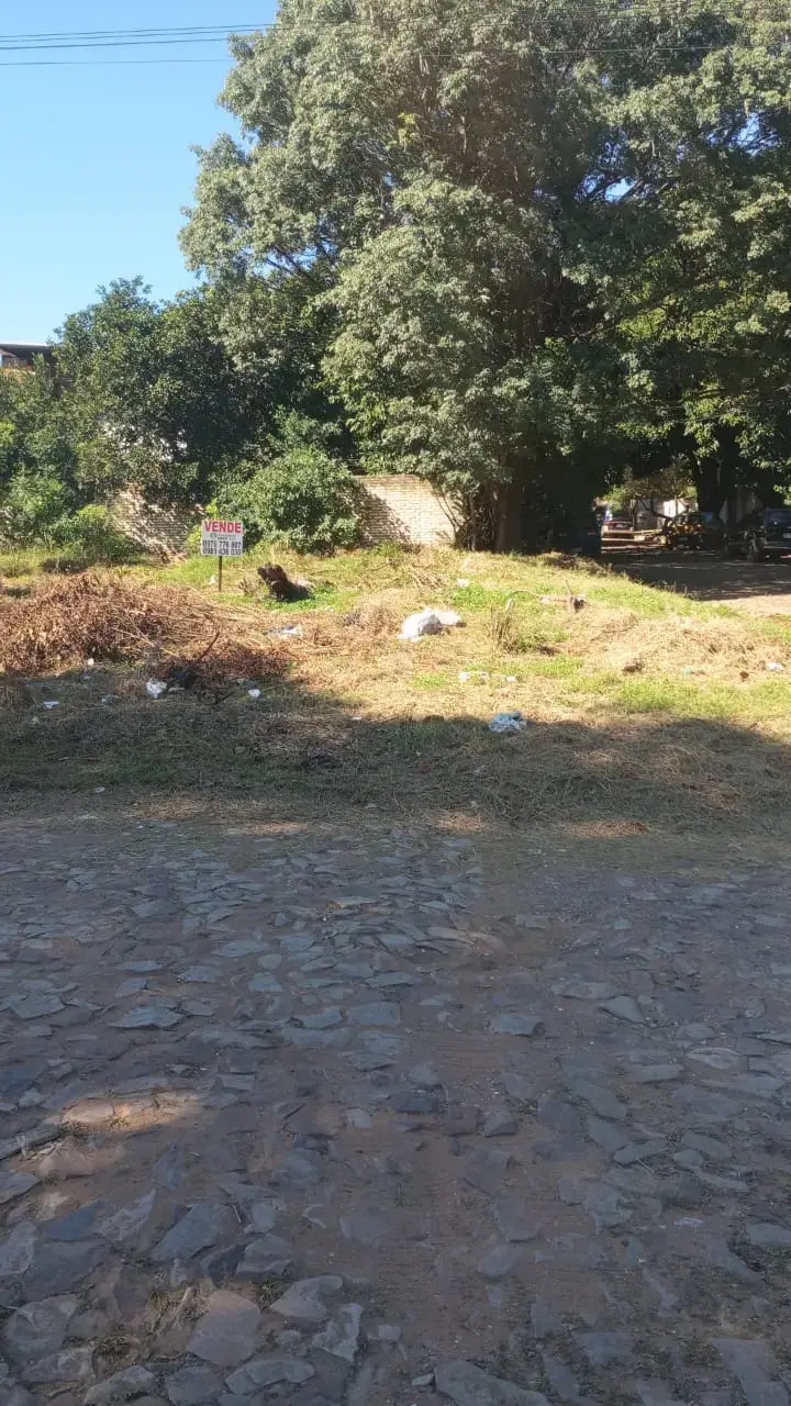 VENDO