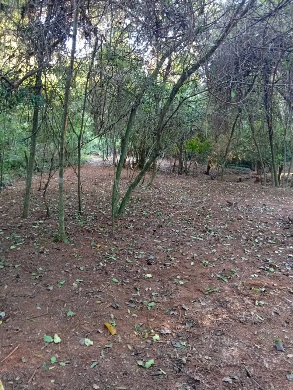 OPORTUNIDAD ÚNICA EN PIRAYU - Vendo Terreno Amplio con Arroyo Propio