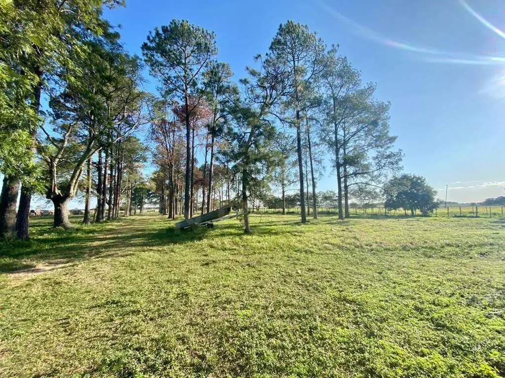 EN VENTA | Estancia de 4.197 Ha en San Juan Bautista, Ñeembucú