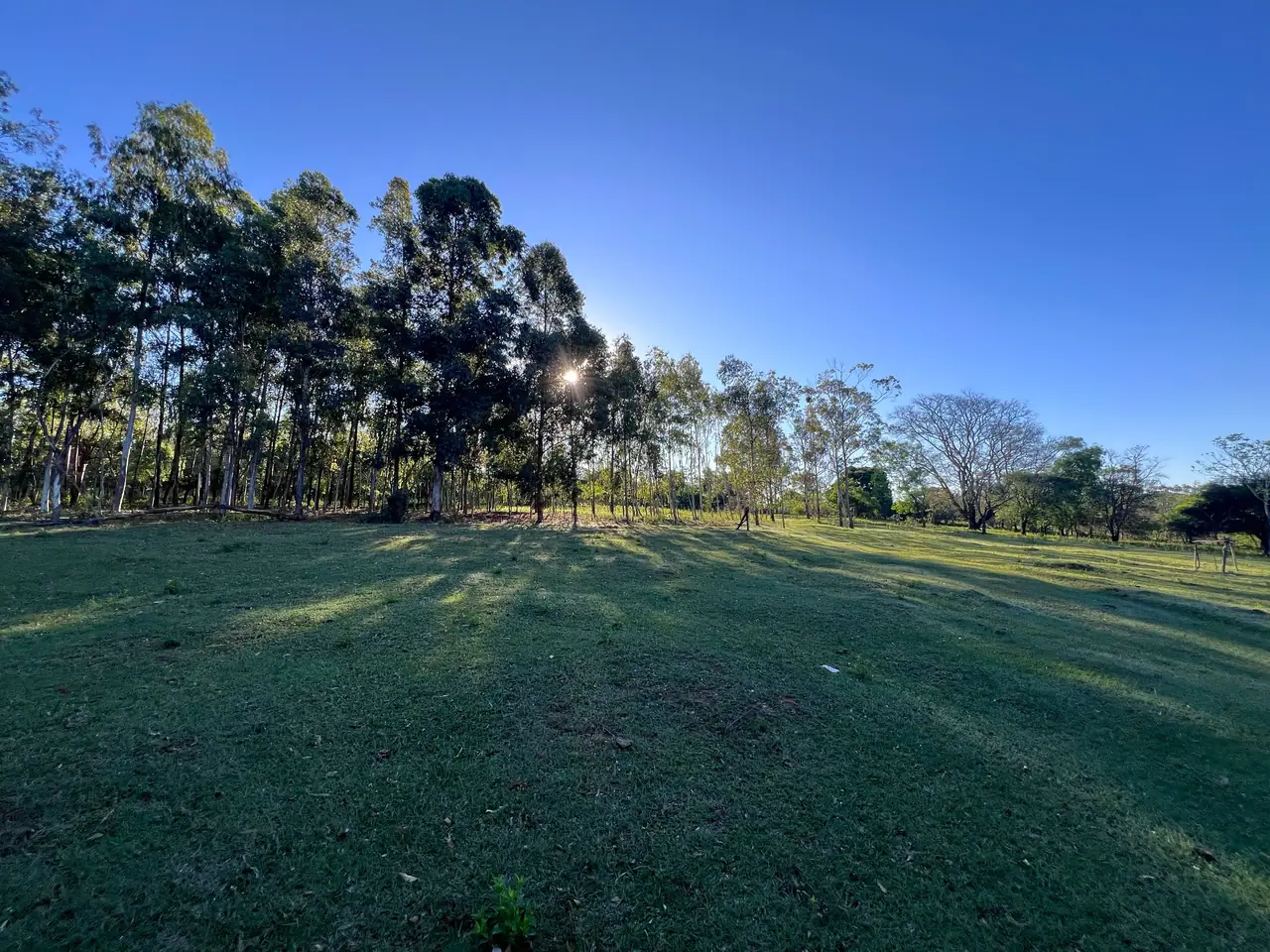 Granja 6.3 Has Escobar Yvyraity 63. 805m2 4 Casas Amobladas Animales