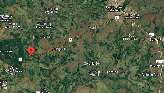 VENDO 49,5 HA. A 30 KM DE PEDRO JUAN CABALLERO - MUNICIPIO DE CERRO CORA