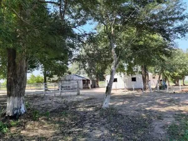 ¡Gran Oportunidad de Inversión! Venta de Campo en Concepció