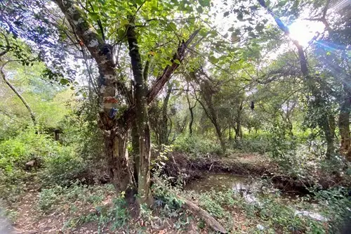 en venta en Arroyos Y Esteros