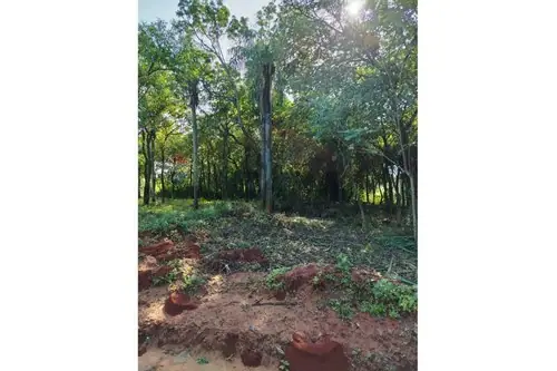 en venta en Luque