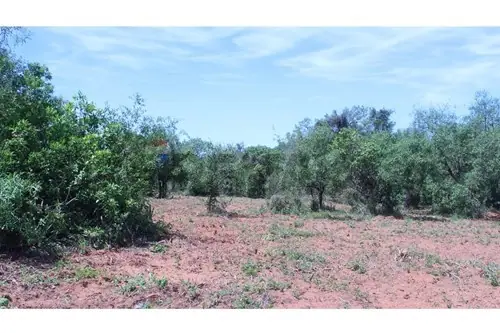 en venta en Caacupé