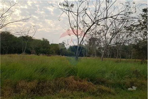 en venta en Ypacaraí