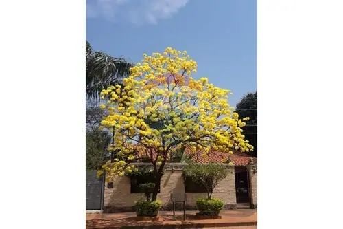 en venta en Luque