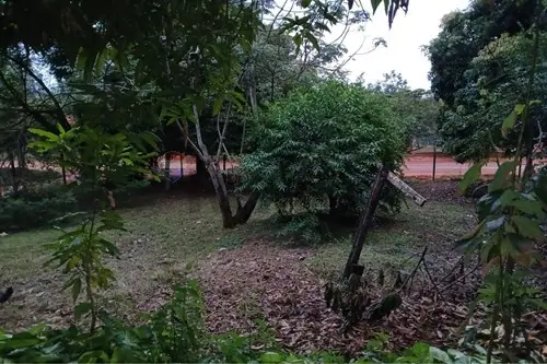 en venta en Itauguá