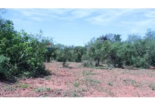 en venta en Caacupé