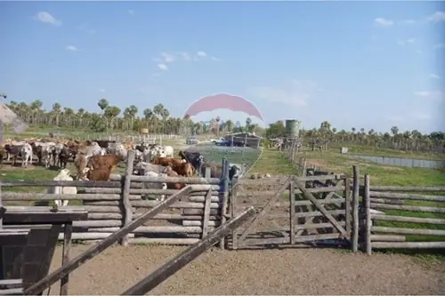 en venta en General José María Bruguéz