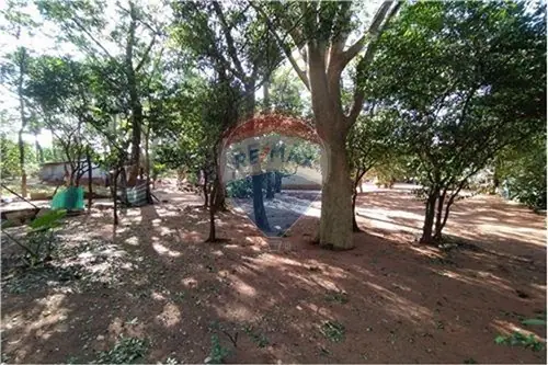 en venta en San Lorenzo