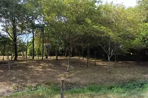 en venta en Ypané