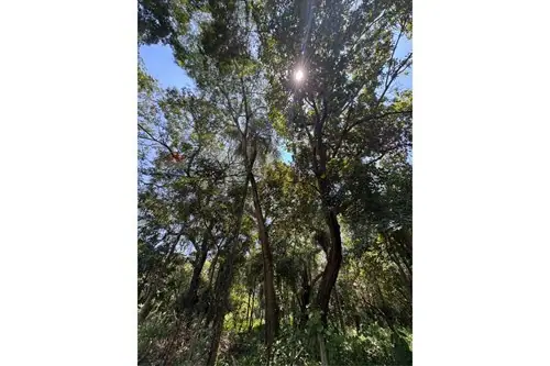 en venta en San Bernardino