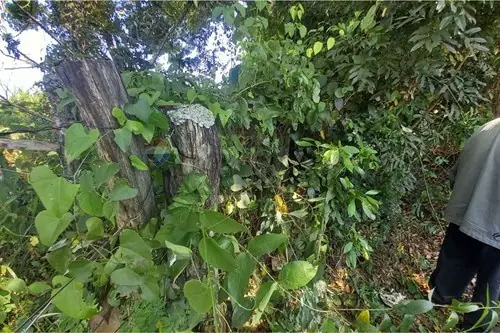 en venta en Caazapá