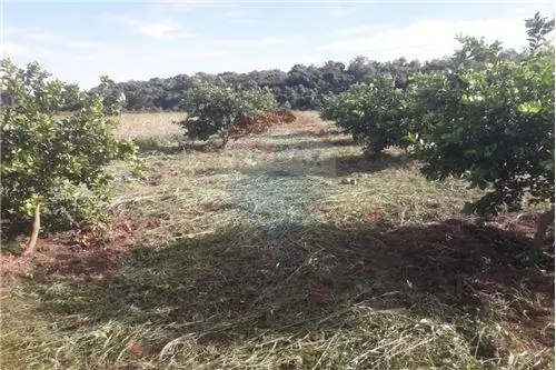en venta en San Juan Nepomuceno