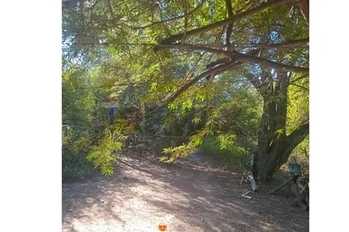 en venta en Loma Plata
