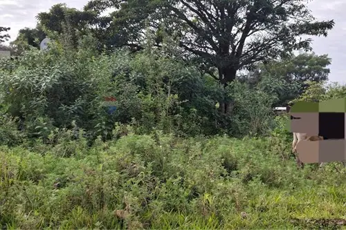 en venta en Luque