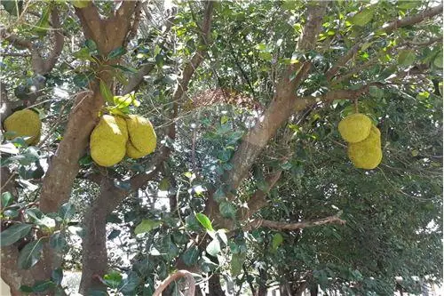 en venta en Arroyos Y Esteros