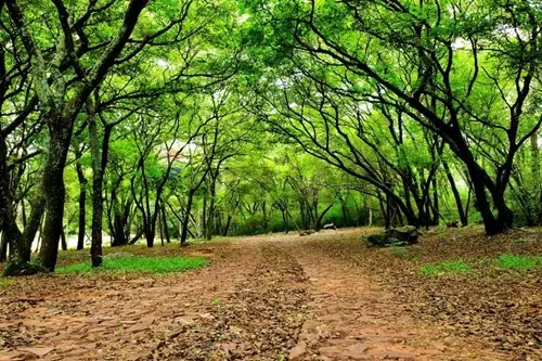 en venta en Ypacaraí