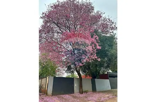en venta en Luque