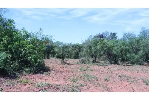 en venta en Caacupé