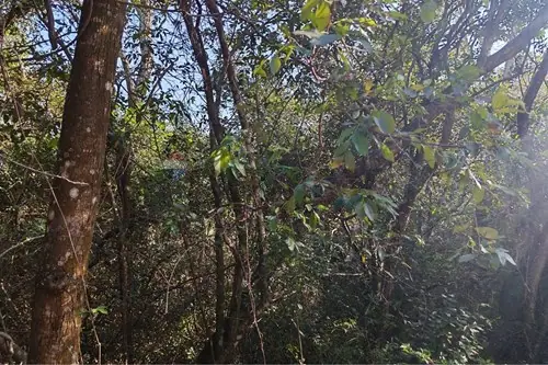 en venta en Caacupé