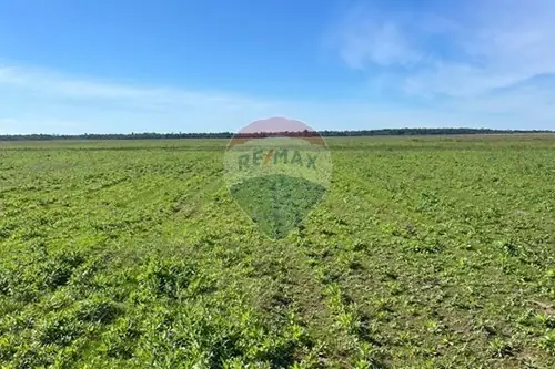 en venta en San Pedro Del Paraná