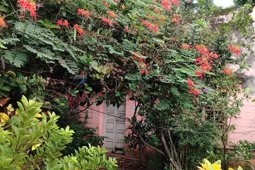 en venta en San Lorenzo