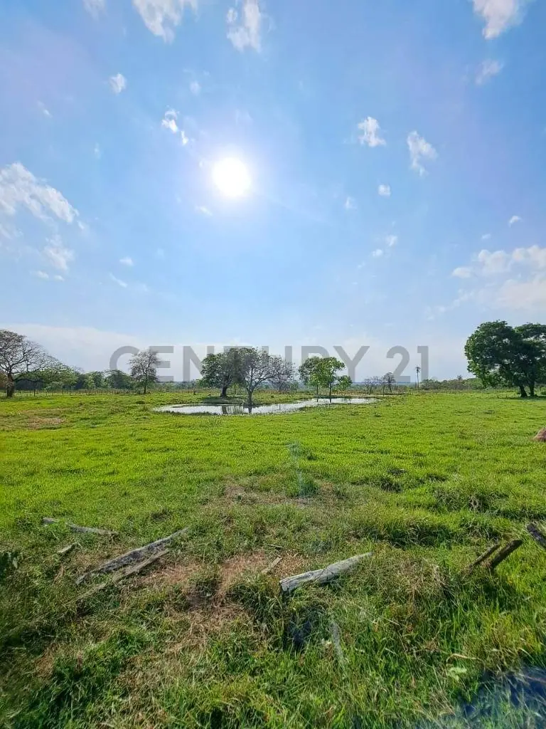 Venta de Estancia/Ganadera en Loreto, Concepción